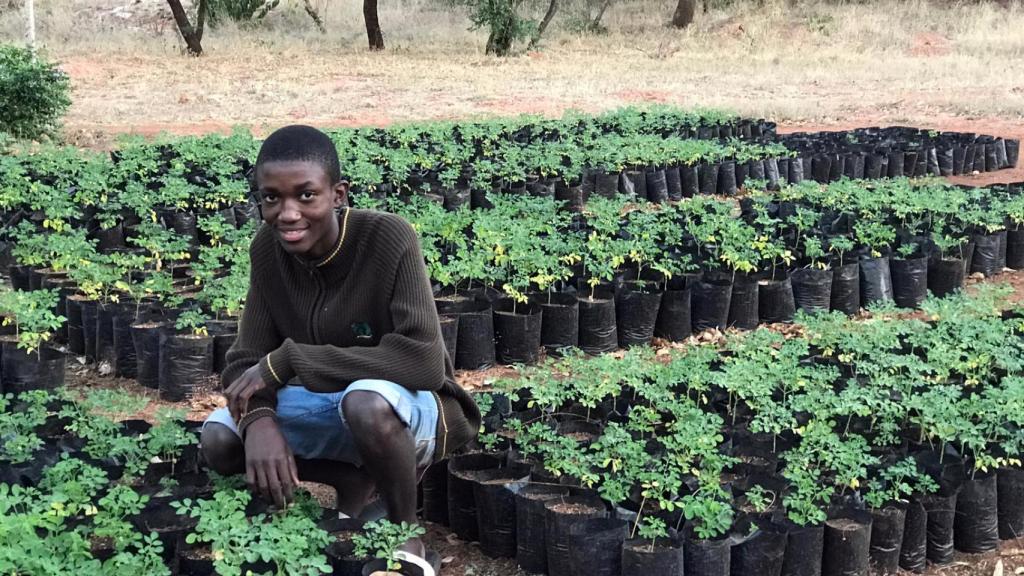 Joven de la casa de acogida con los árboles de Moringa.