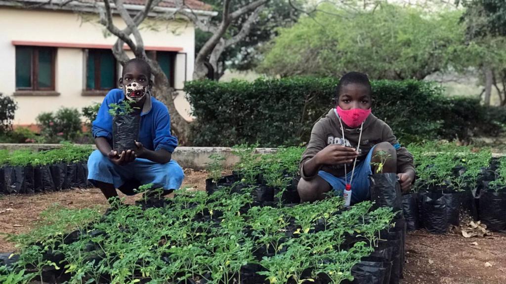 Niños en el hogar de acogida Casa do Gaiato de Maputo con árboles de Moringa