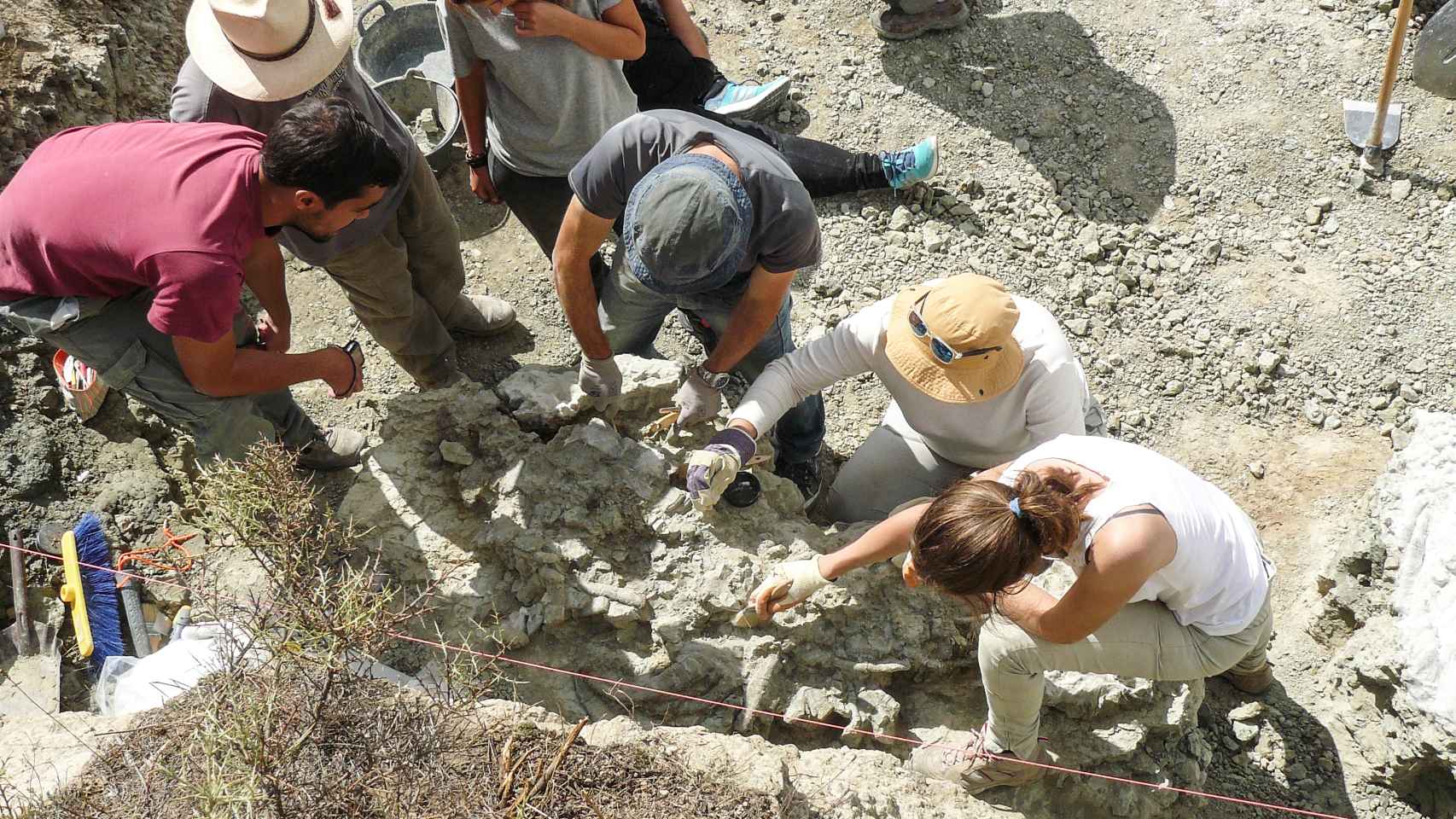 Equipo de Biología Evolutiva de la UNED en una excavación. Autor: Santiago Martín
