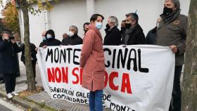 Denuncian ante el Parlamento el asalto a los montes vecinales gallegos