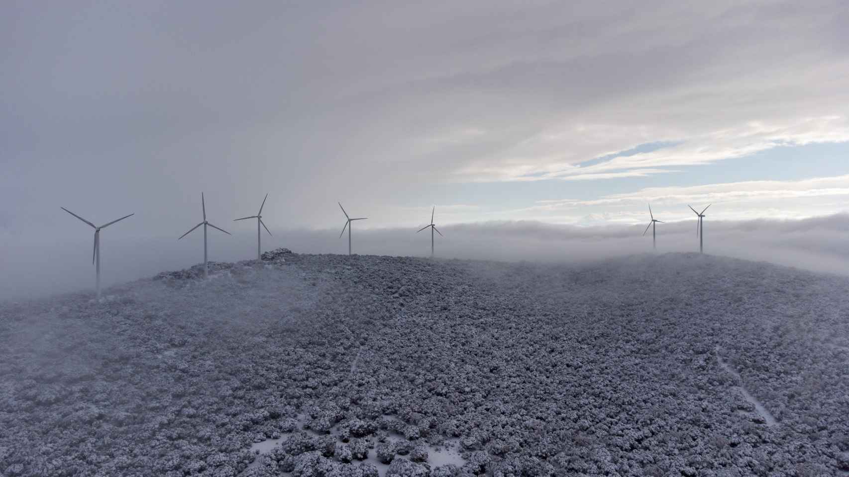 Parque eólico Sierra de Dueña de Iberdrola cubierto de nieve