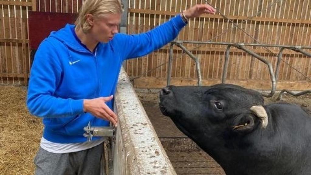 Erling Haaland, en la granja de su familia