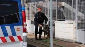 Unidad Canina de la Policía Local de Salamanca