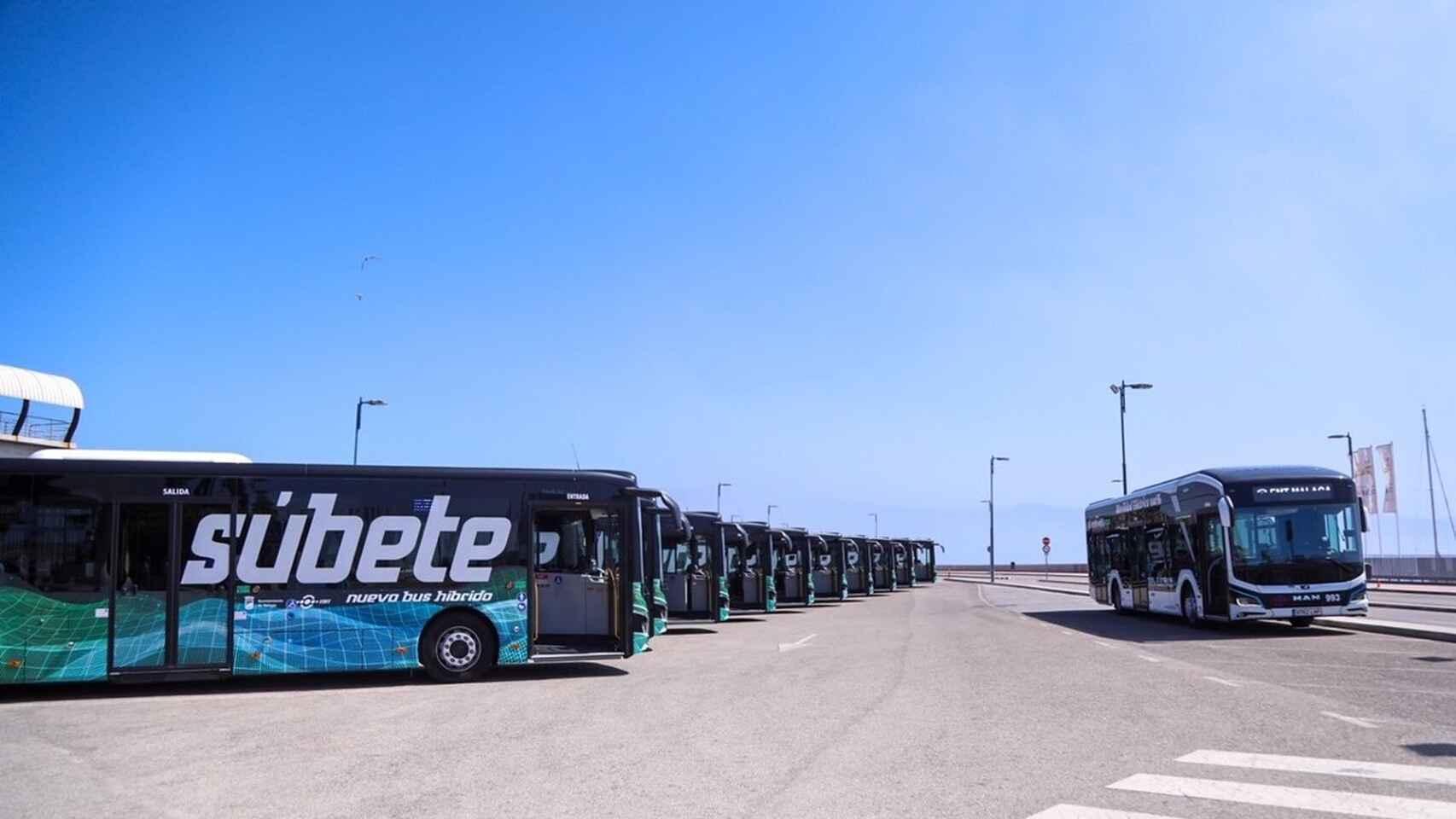 Imagen de archivo de autobuses de la EMT.