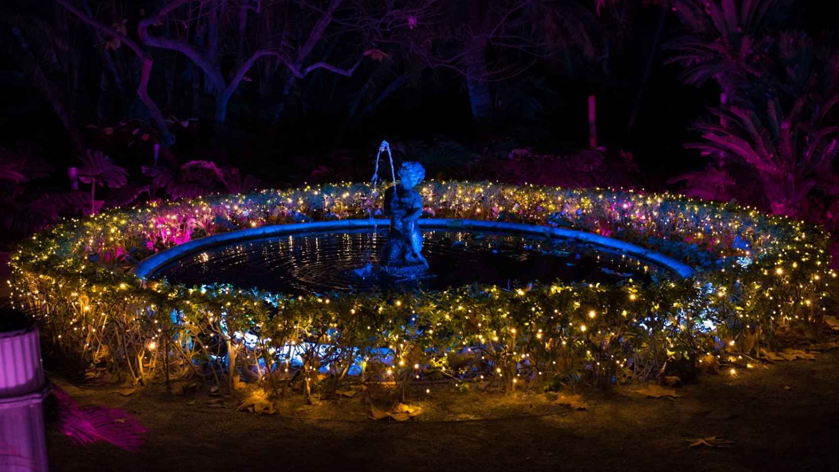 Una imagen del estanque del Jardín de La Concepción iluminado.