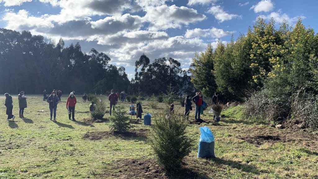 Terreno de la Comunidad de Montes de Tomeza.