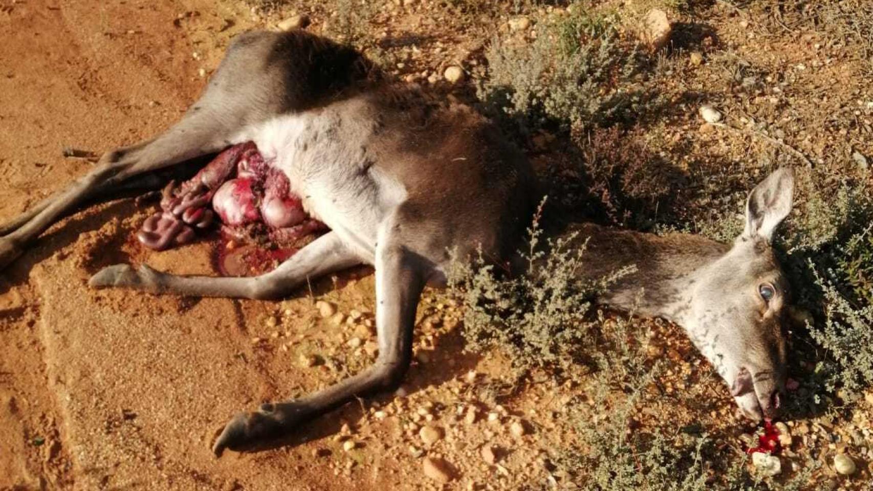 Accidente de Otero de Sanabria
