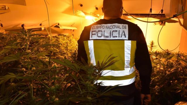 Operación antidroga en Guadalajara y Madrid. Foto: Policía Nacional