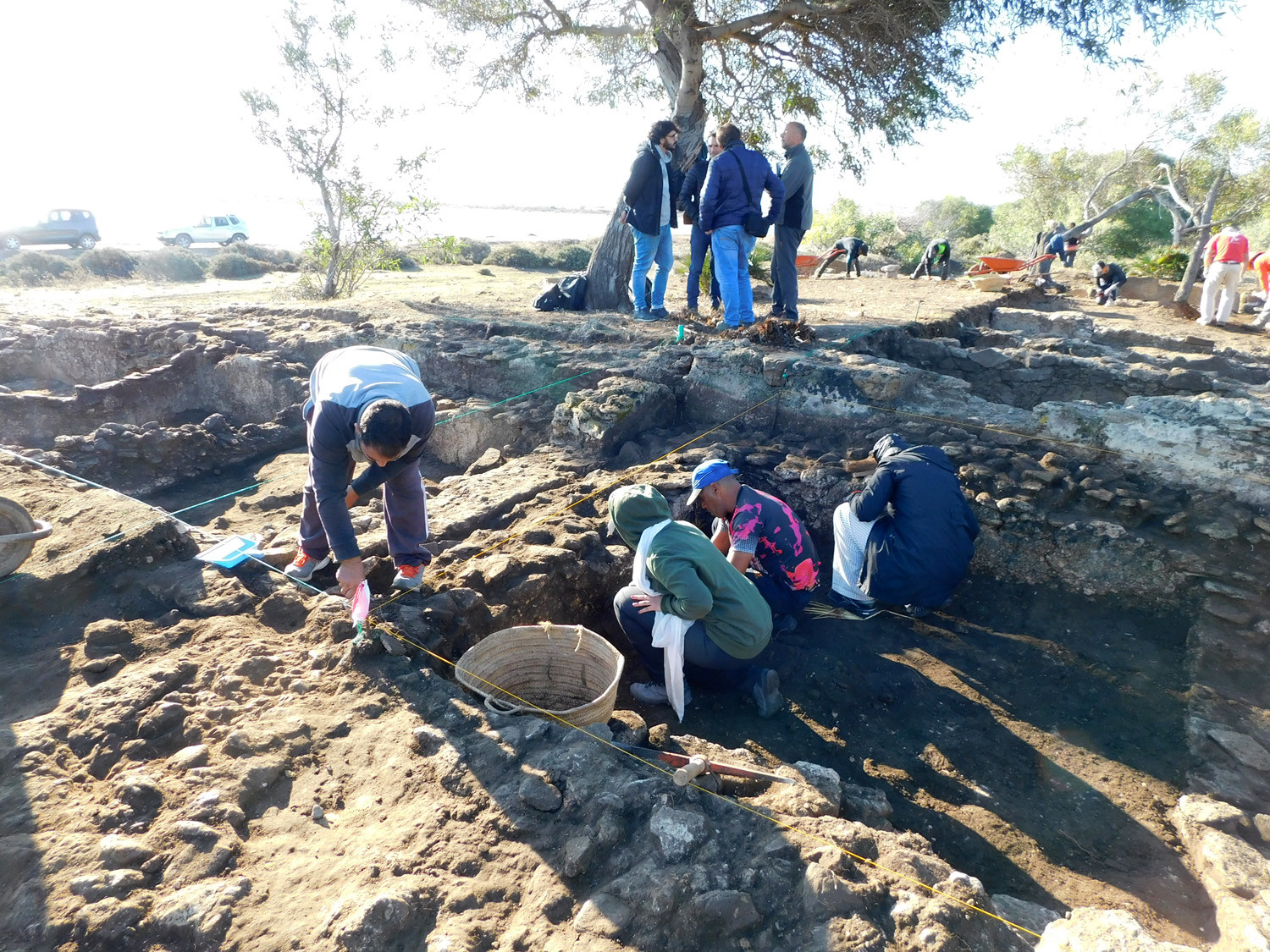 El equipo trabajando en el yacimiento.