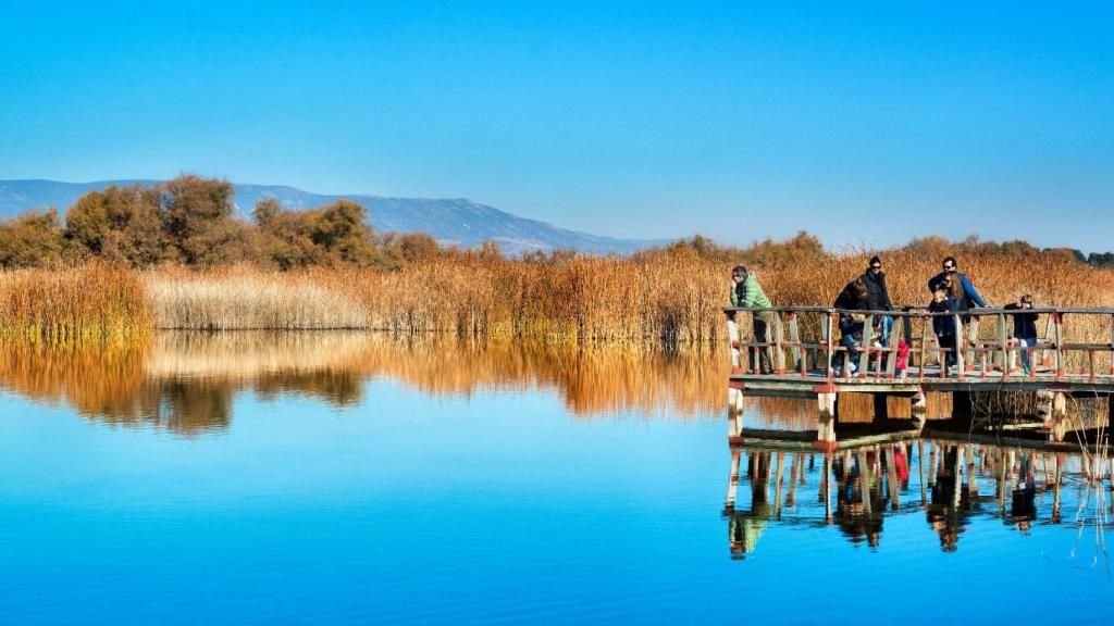 Las Tablas de Daimiel.