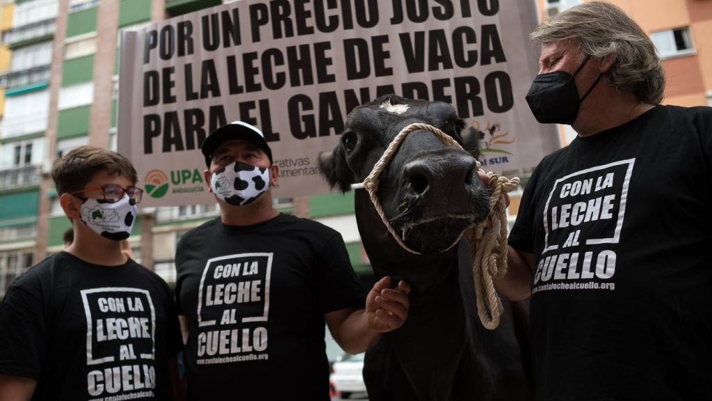 Protestas en Málaga.