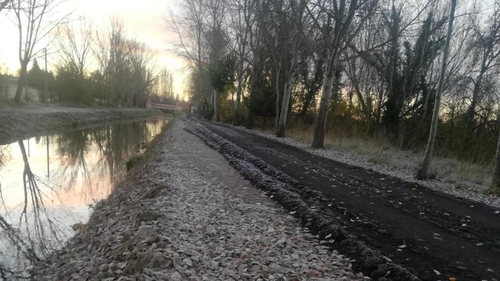 Imagen de la brea en el Canal del Duero en la mañana de este viernes