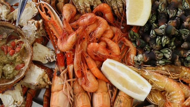 Mariscos variados.