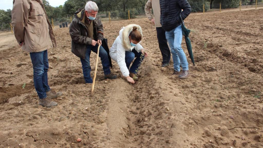 La delegada territorial en la plantación de encinas en Monte Coto