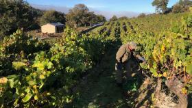 Valdeorras, donde el vino y sus sabores nacen en cuevas