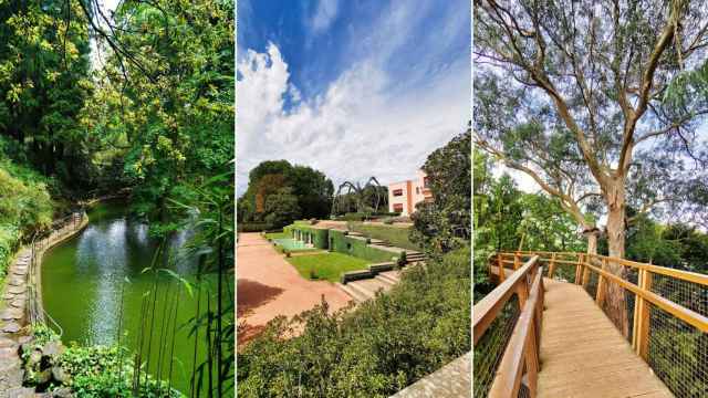 Fundación Serralves, en Oporto (Portugal).