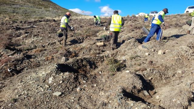 Varios operarios trabajando en una zona afectada