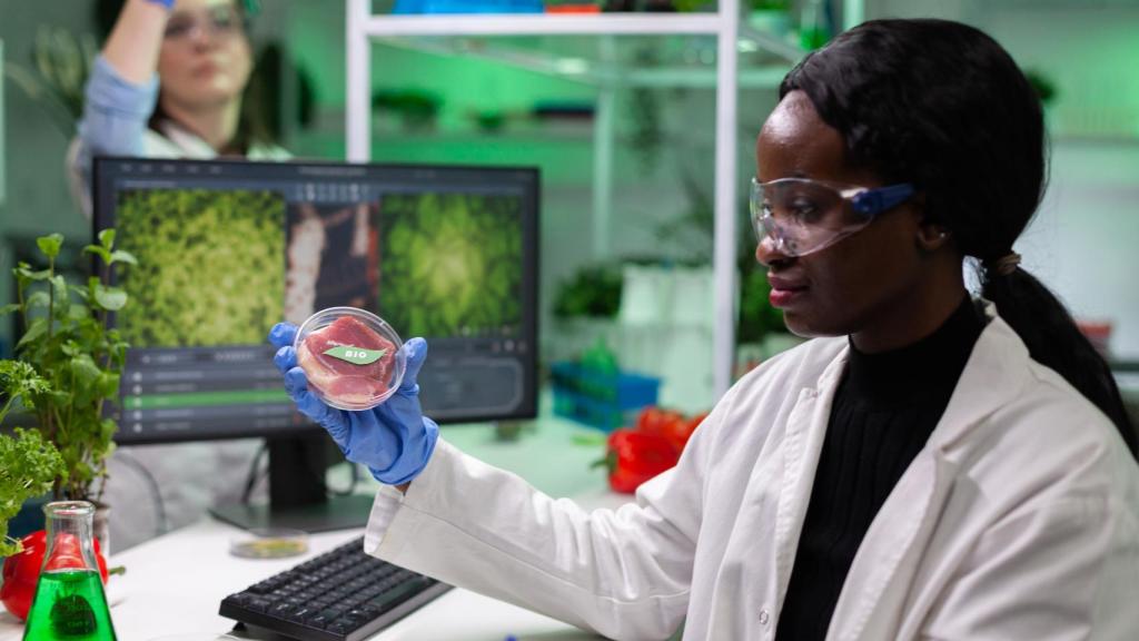 mujeres en las profesiones STEM