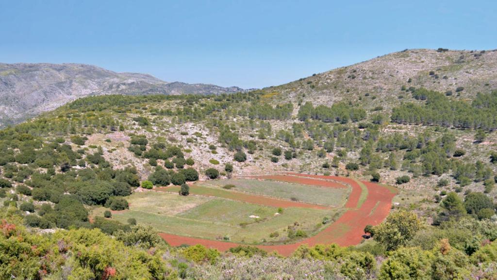 La Llacuna de Castell de Castells.