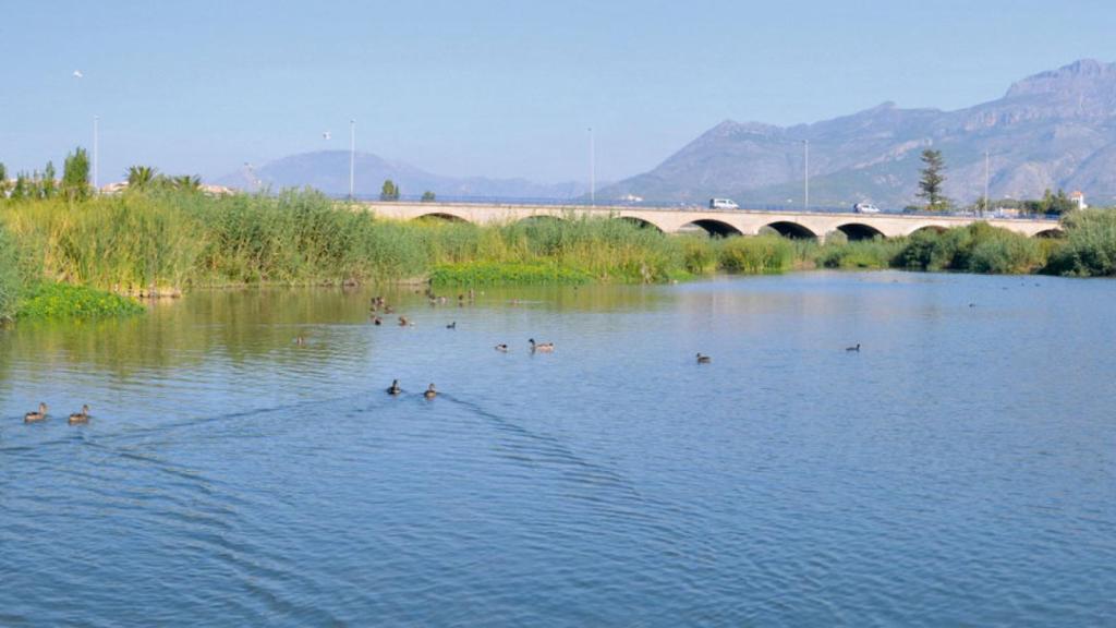 El humedal de la desembocadura del río Algar.