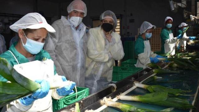 Carnero durante una visita