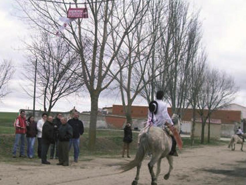 Los quintos de Poveda de las Cintas recuperan la costumbre de ‘correr los gallos’, ahora las cintas