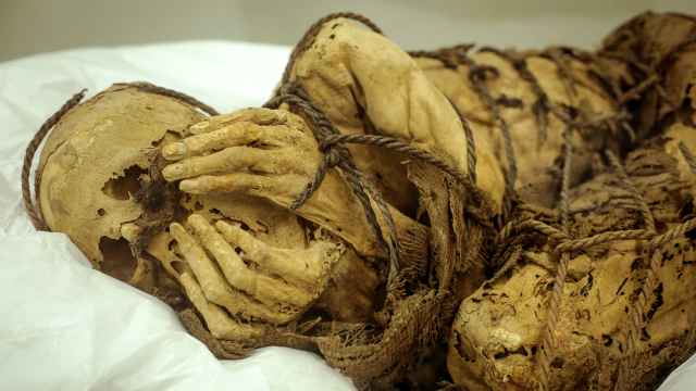 Fotografía de la momia de Cajamarquilla.