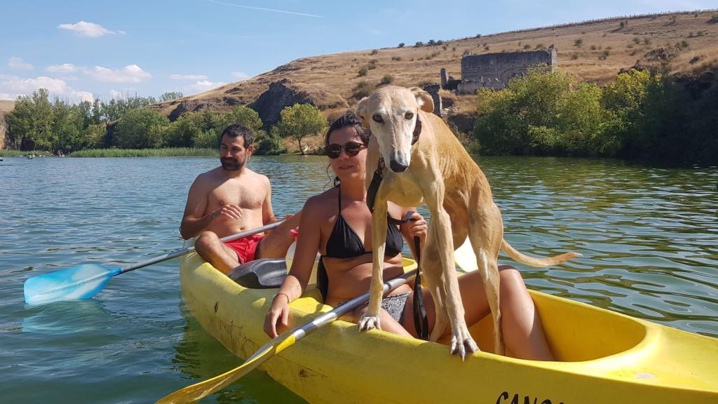 Juanma Trillo y Laura Blázquez junto a su galga, Duna.