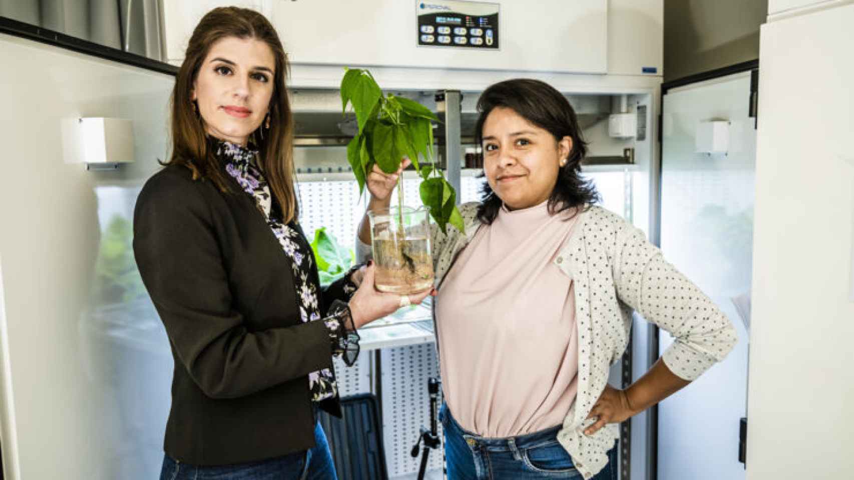 Dra. Eleni Stavrinidou y Daniela Parker con la planta biohíbrida.