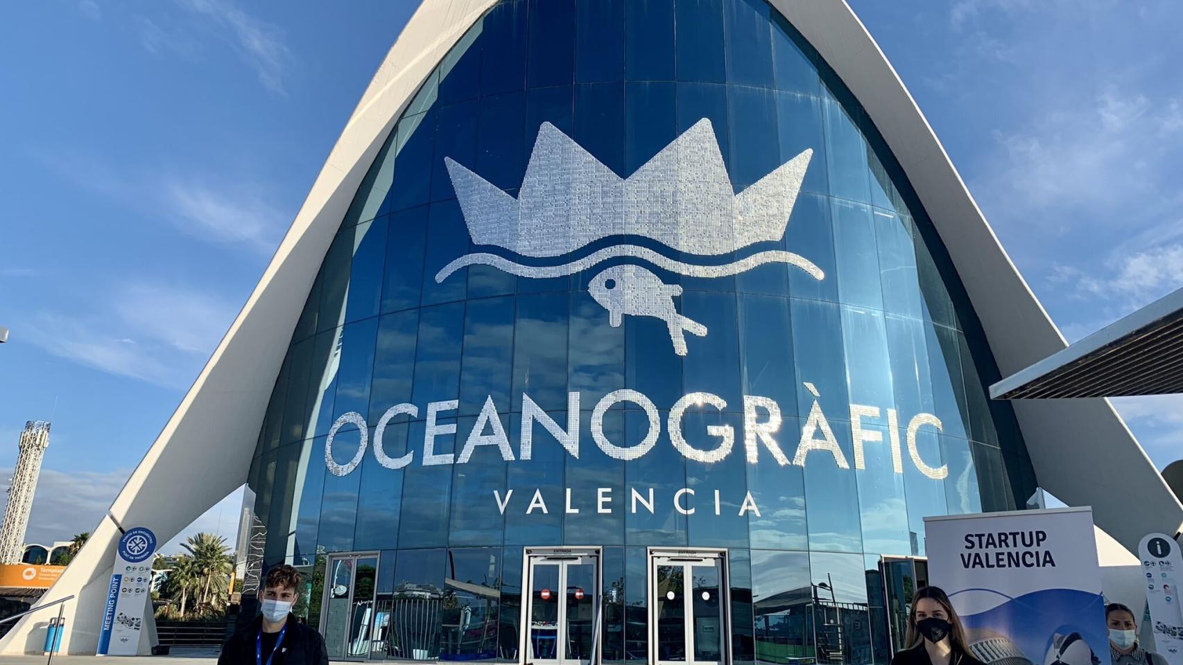 El Oceanográfico de Valencia es el emplazamiento de excepción para la gran fiesta del ecosistema startup valenciano este 15 y 16 de diciembre.