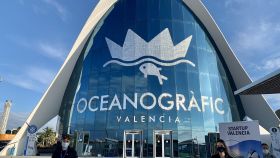 El Oceanográfico de Valencia es el emplazamiento de excepción para la gran fiesta del ecosistema startup valenciano este 15 y 16 de diciembre.