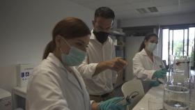 Técnicos de la empresa Ancor Tecnológica Canaria trabajan en su proyecto de nanotecnología para la protección antimicrobiana de los textiles.
