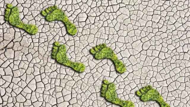 La huella de carbono: cómo enlazar la acción climática con nuestra vida cotidiana