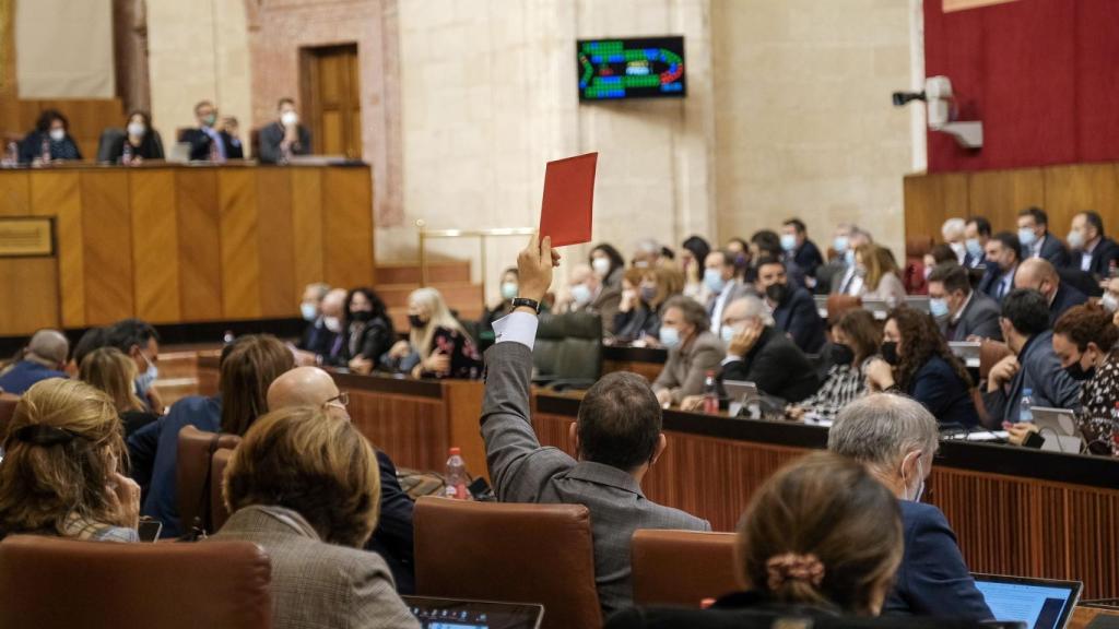 Los diputados de Vox, votando en contra de las propuestas de los grupos de Gobierno.