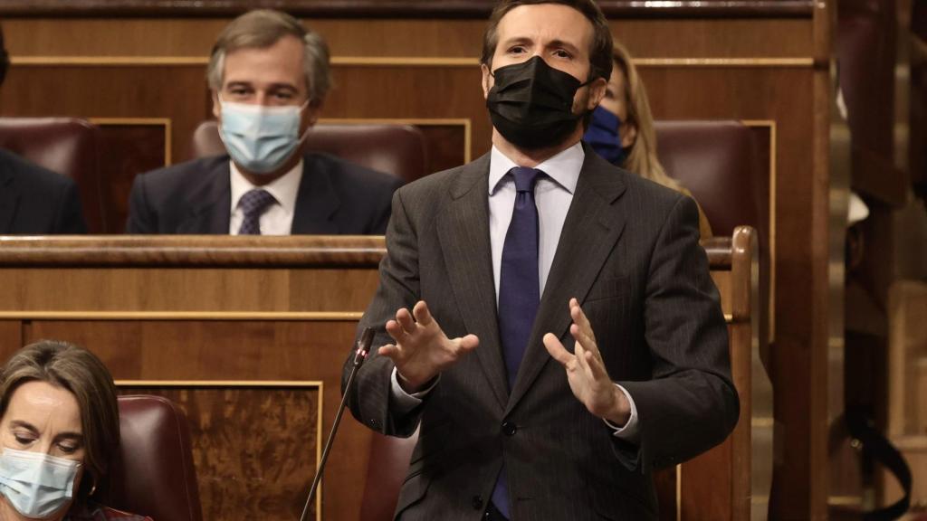 Pablo Casado, presidente del PP, en el Congreso.