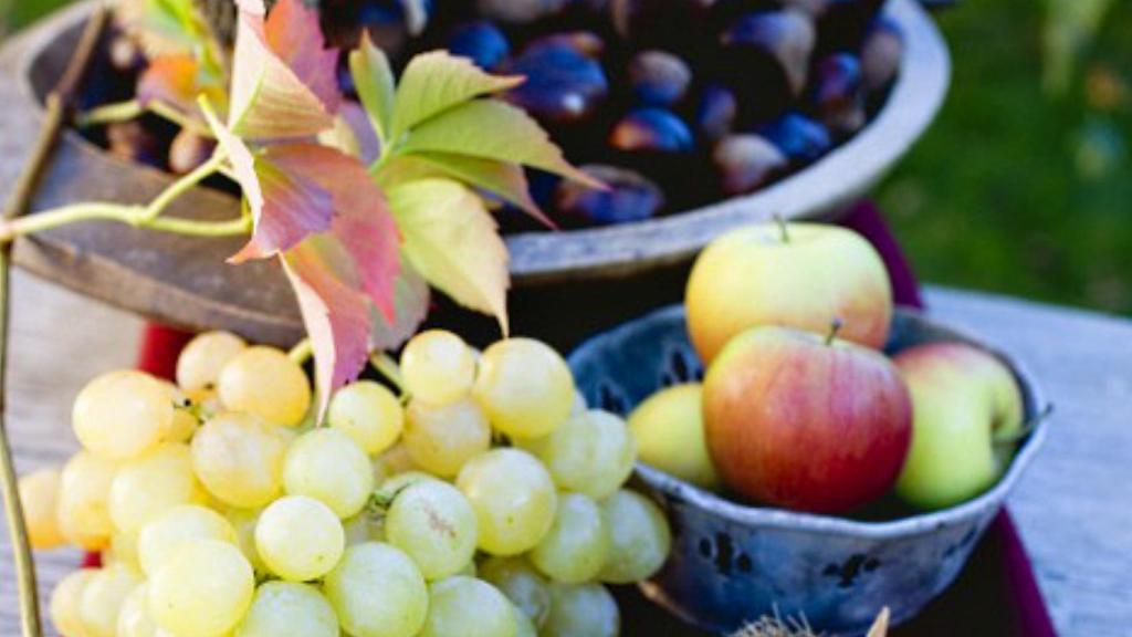 Alimentos ricos en polifenoles.