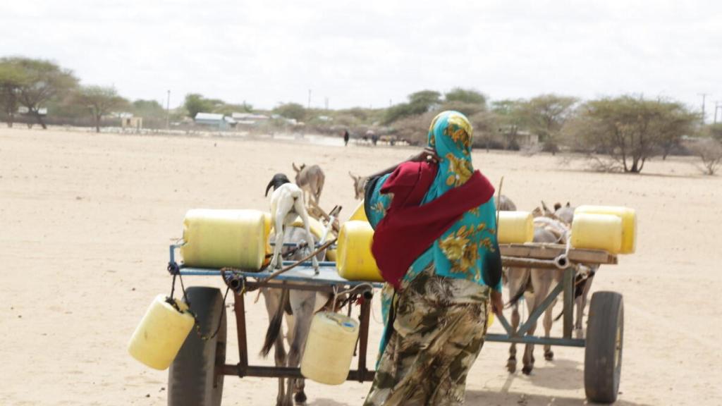 Efectos de la sequía en Kenia.