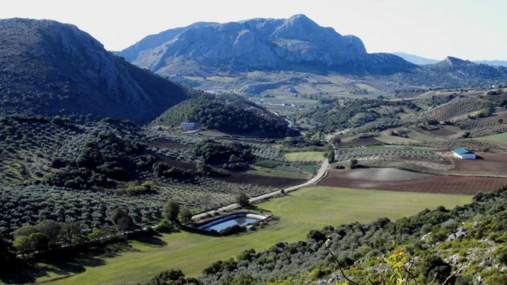 El paisaje que rodea a Alfarnate es de una belleza inusitada.