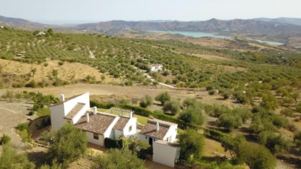 Los alrededores de La Viñuela destacan por el embalse y por sus olivos.