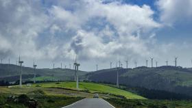 Arco Iris expone que el 70% de Galicia es de máxima sensibilidad ambiental para instalar eólicos