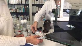 Farmacias gallegas agotan los test gratis para niños de 11 a 5 años