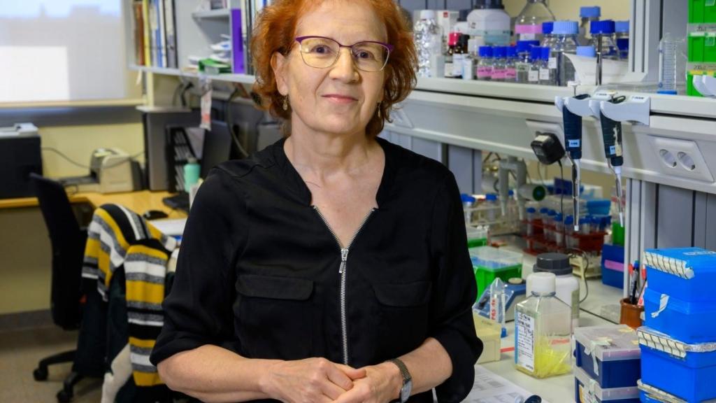 Margarita del Val, en su laboratorio del CSIC.