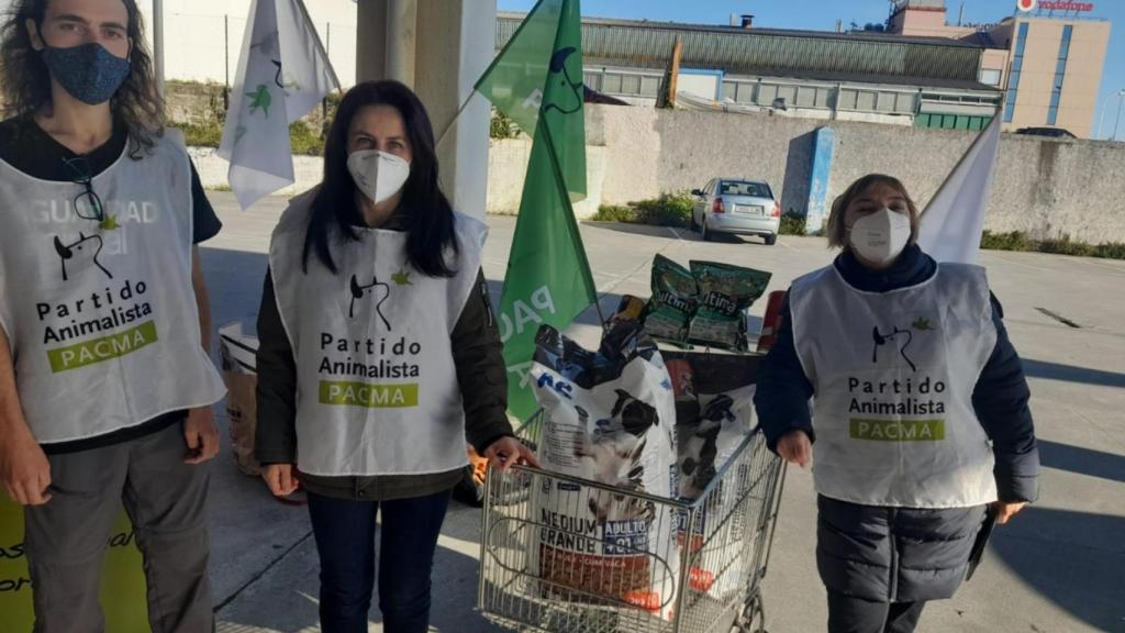 Recogida de alimentos para las protectoras.