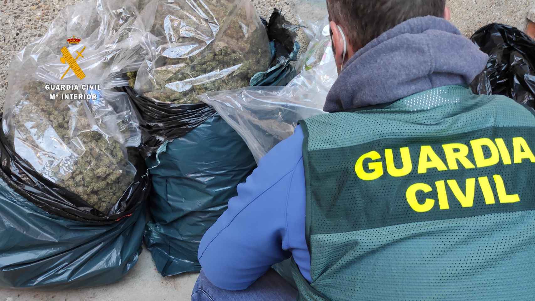 Detienen a un hombre en Zamora con 21 kilos de marihuana escondidos en bolsas de basura