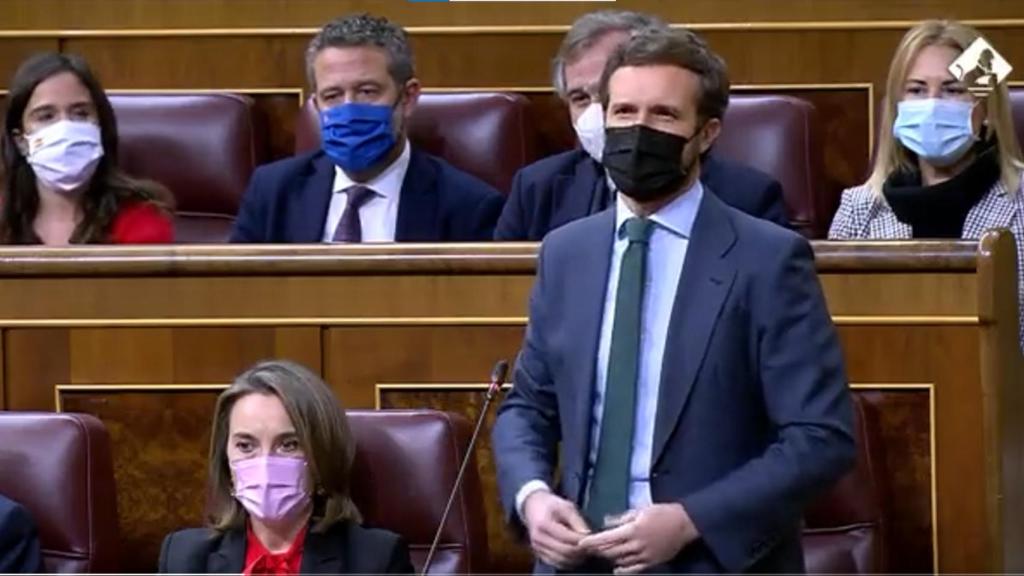 Pablo Casado, líder del PP, pregunta a Pedro Sánchez en el Congreso.