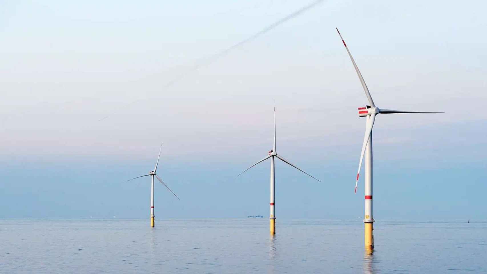 Turbinas de un parque eólico marino.