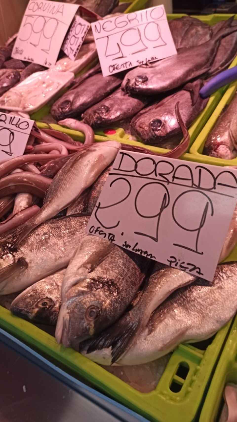 La dorada nacional es otro de los pescados económicos cuyos precios varían dependiendo del puesto al que se acuda.
