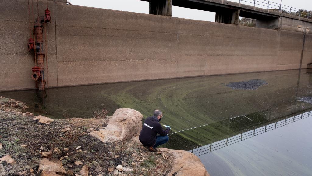 El embalse de As Conchas, en la Baixa Limia,  totalmente eutrofizado.