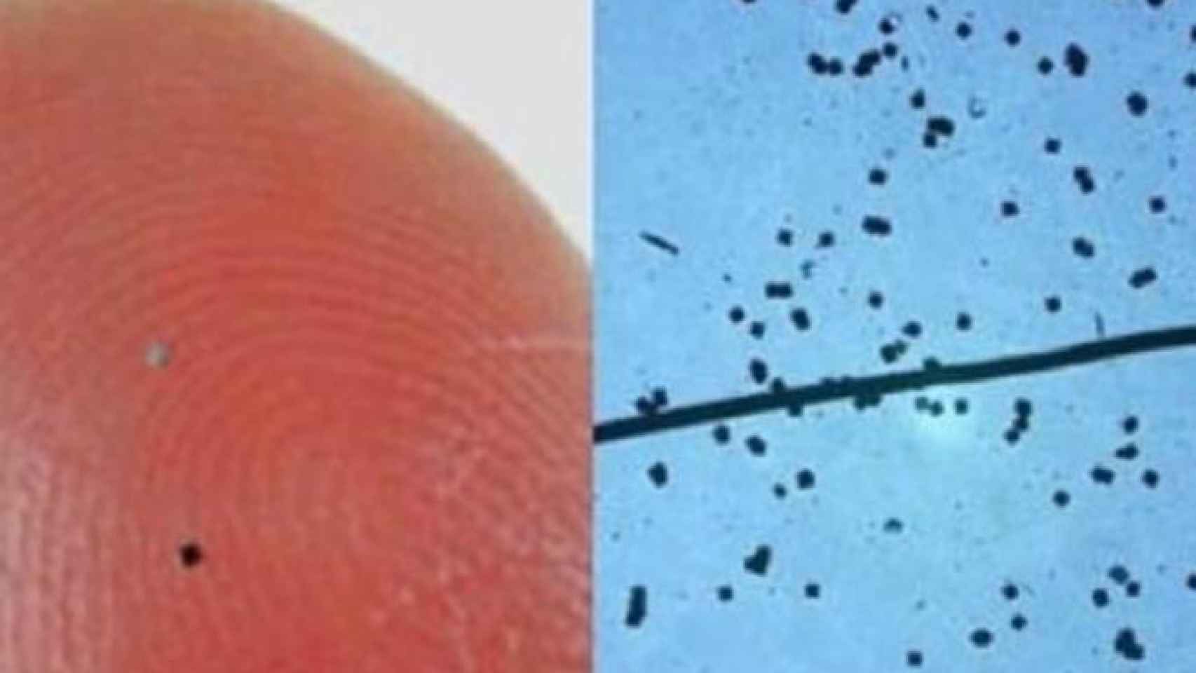 Motas de polvo inteligente, sobre un dedo humano y en una vista al microscopio.