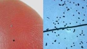 Motas de polvo inteligente, sobre un dedo humano y en una vista al microscopio.